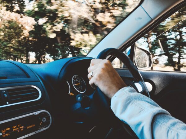 Chauffeur-Guide privatif pour 2 jours de safari