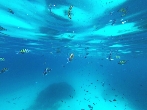 exploration des fonds marins