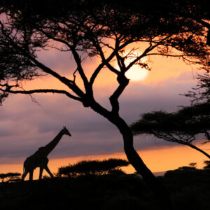 Couché de soleil en afrique