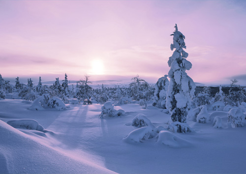 levé du soleil en Laponie