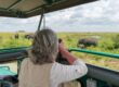 Safari Afrique