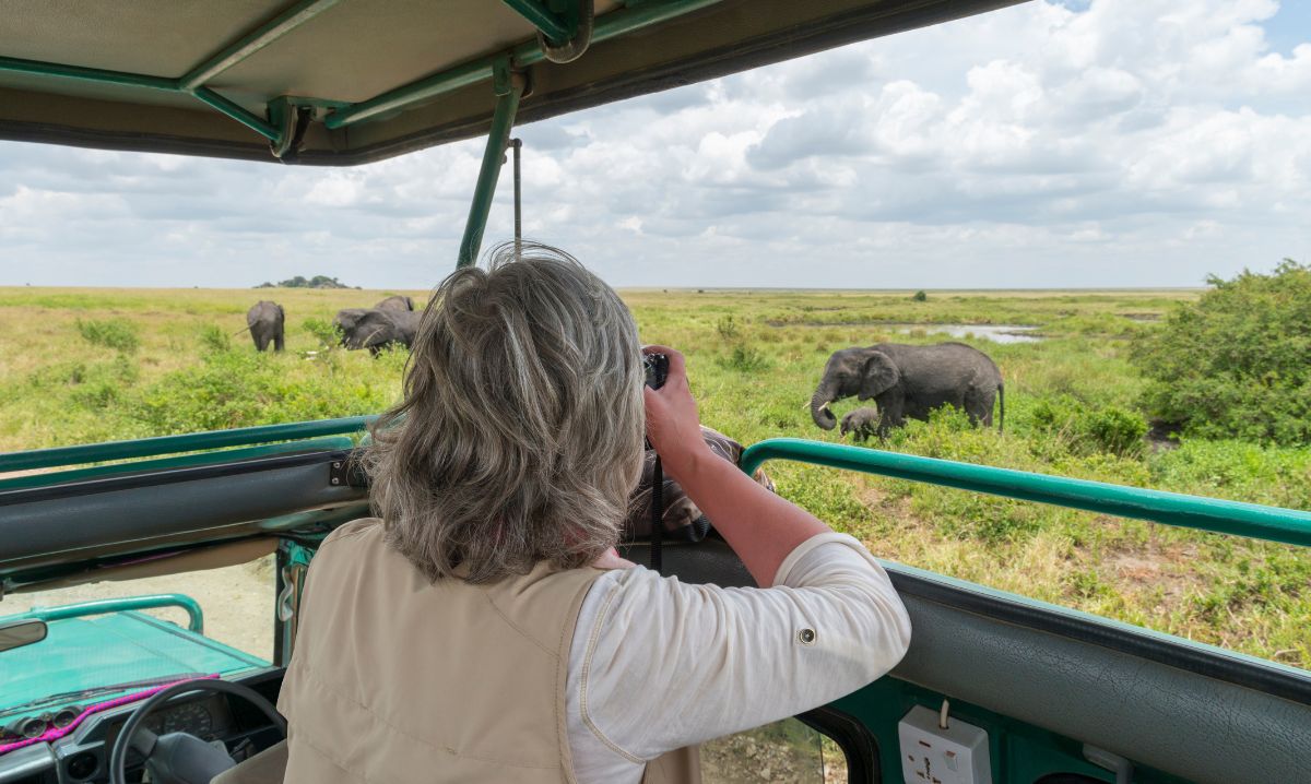 Organiser safari Afrique Safari Afrique