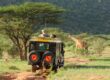Safari sud Afrique
