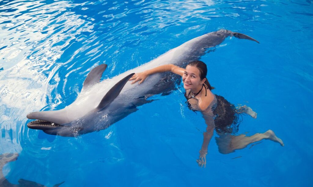 nager avec les dauphins règles conseils