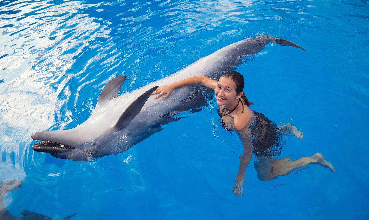 Nager avec des dauphins règles et conseils